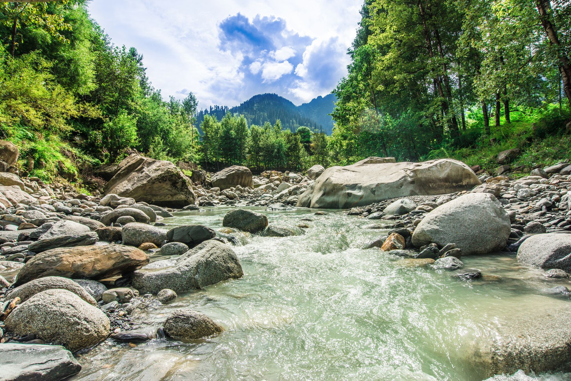 Solang Valley Resort Palchān 외부 사진