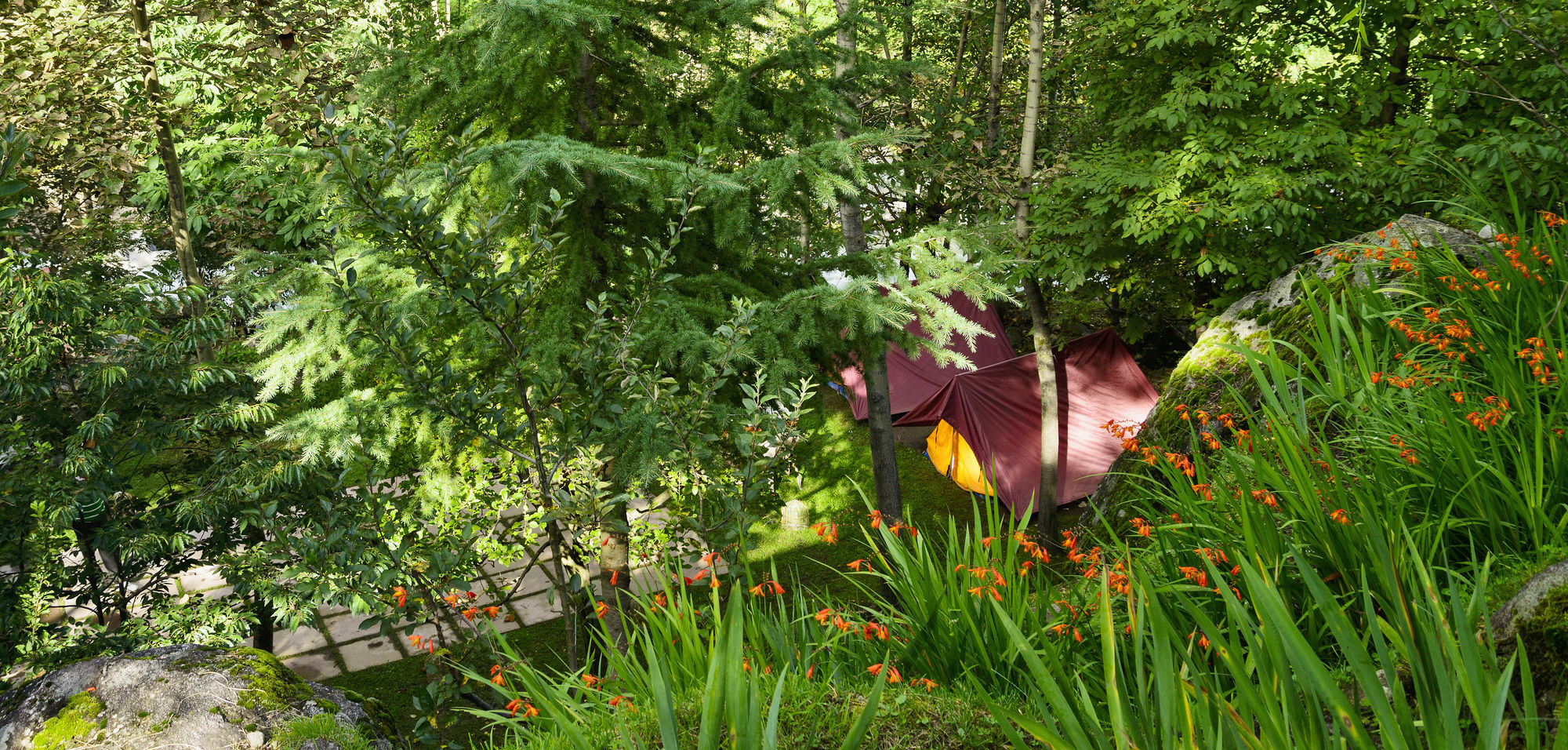 Solang Valley Resort Palchān 외부 사진