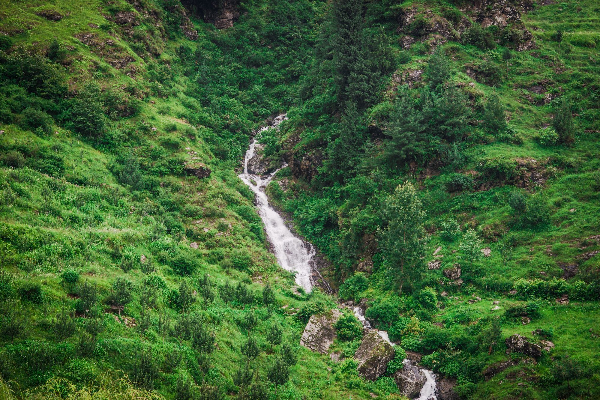 Solang Valley Resort Palchān 외부 사진